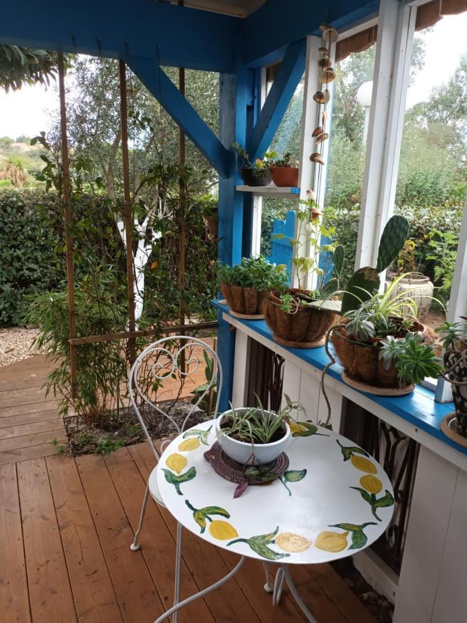 La Cabane Du Pecheur Mèze Esterno foto