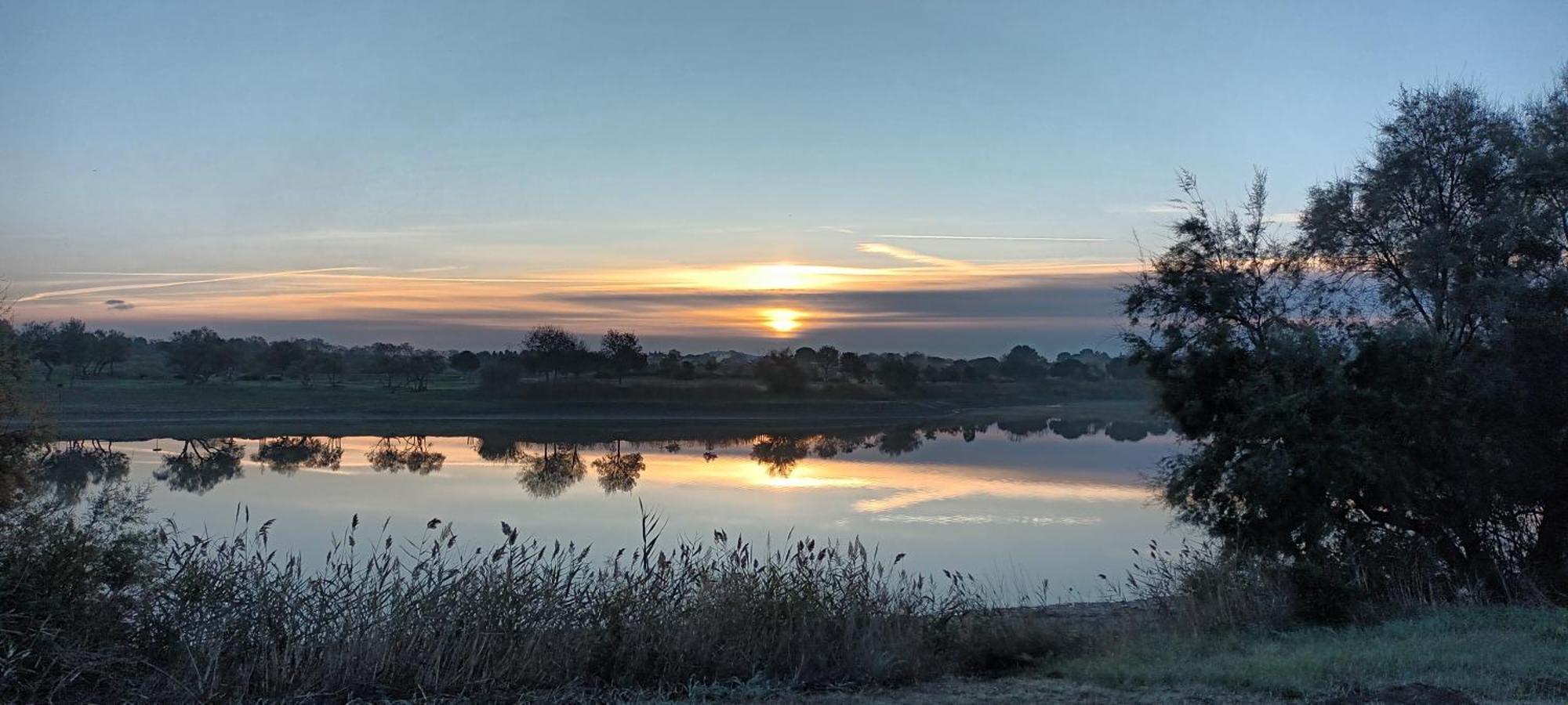 La Cabane Du Pecheur Mèze Esterno foto